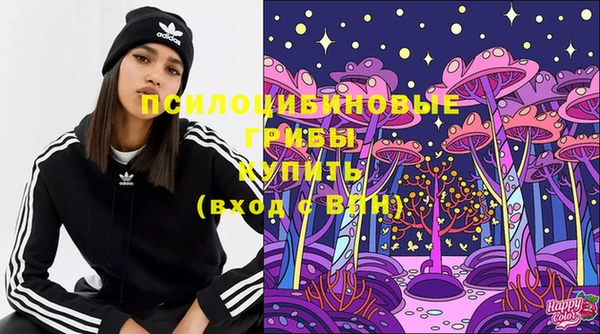 соль ск Алзамай